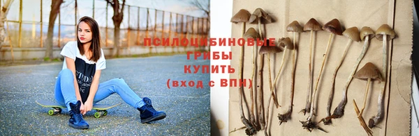 таблы Верхний Тагил
